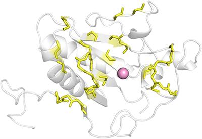 Discovery of Small Molecule Inhibitors Targeting the Sonic Hedgehog